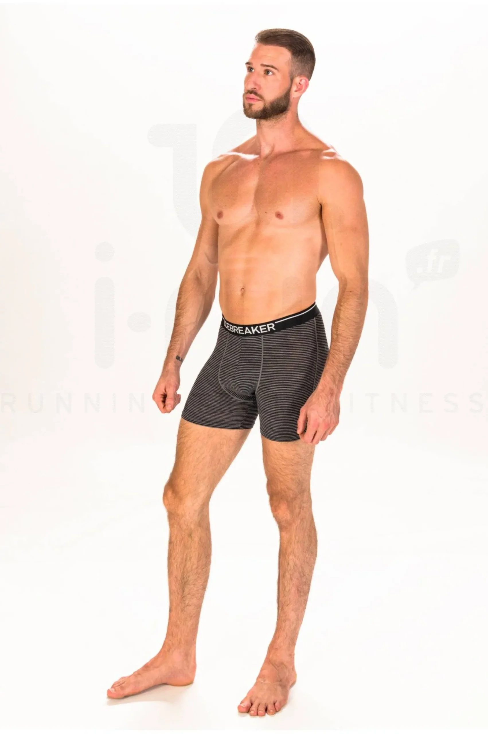 Anatomica Mérinos M