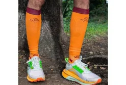 Booster Elite Evolution