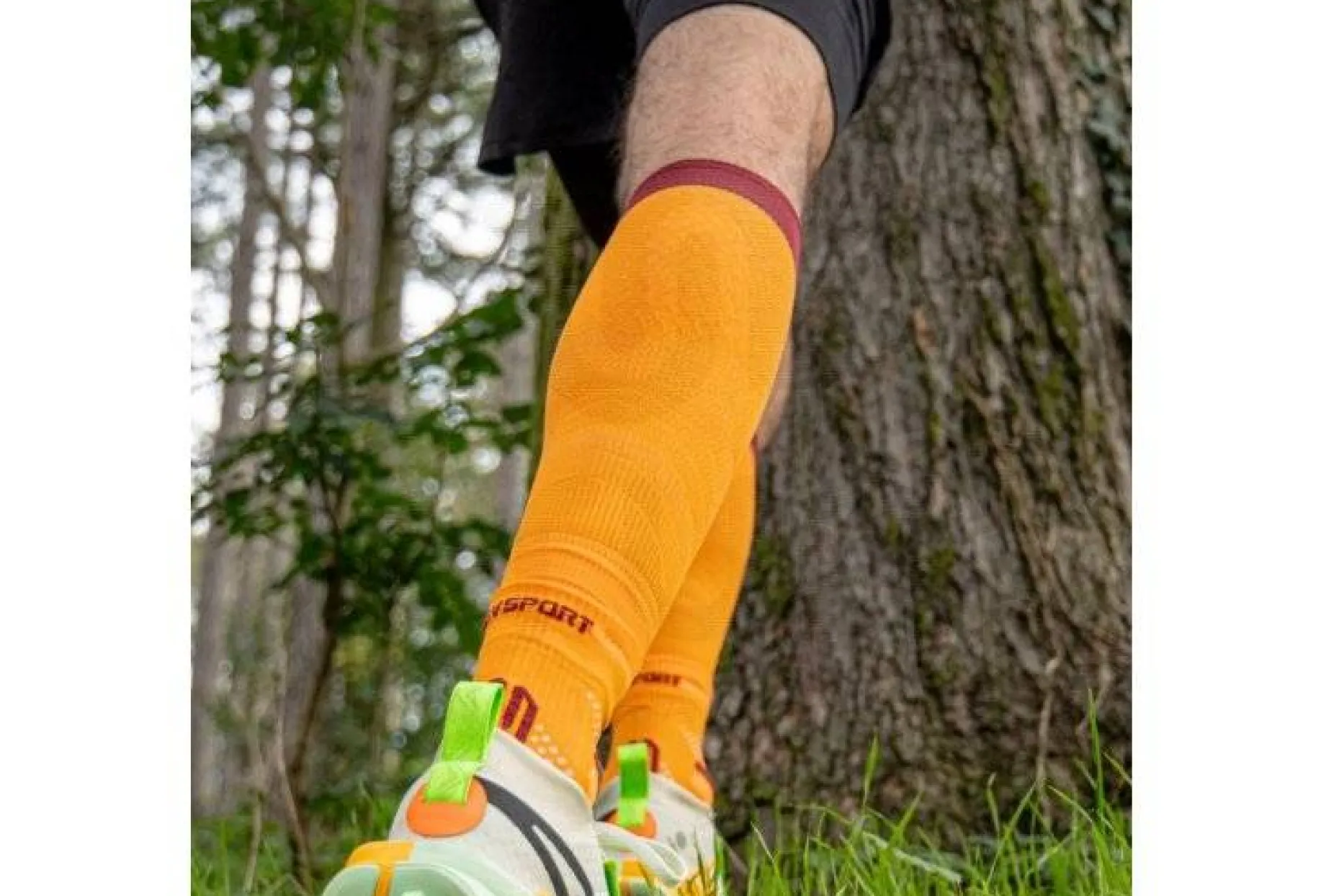 Booster Elite Evolution