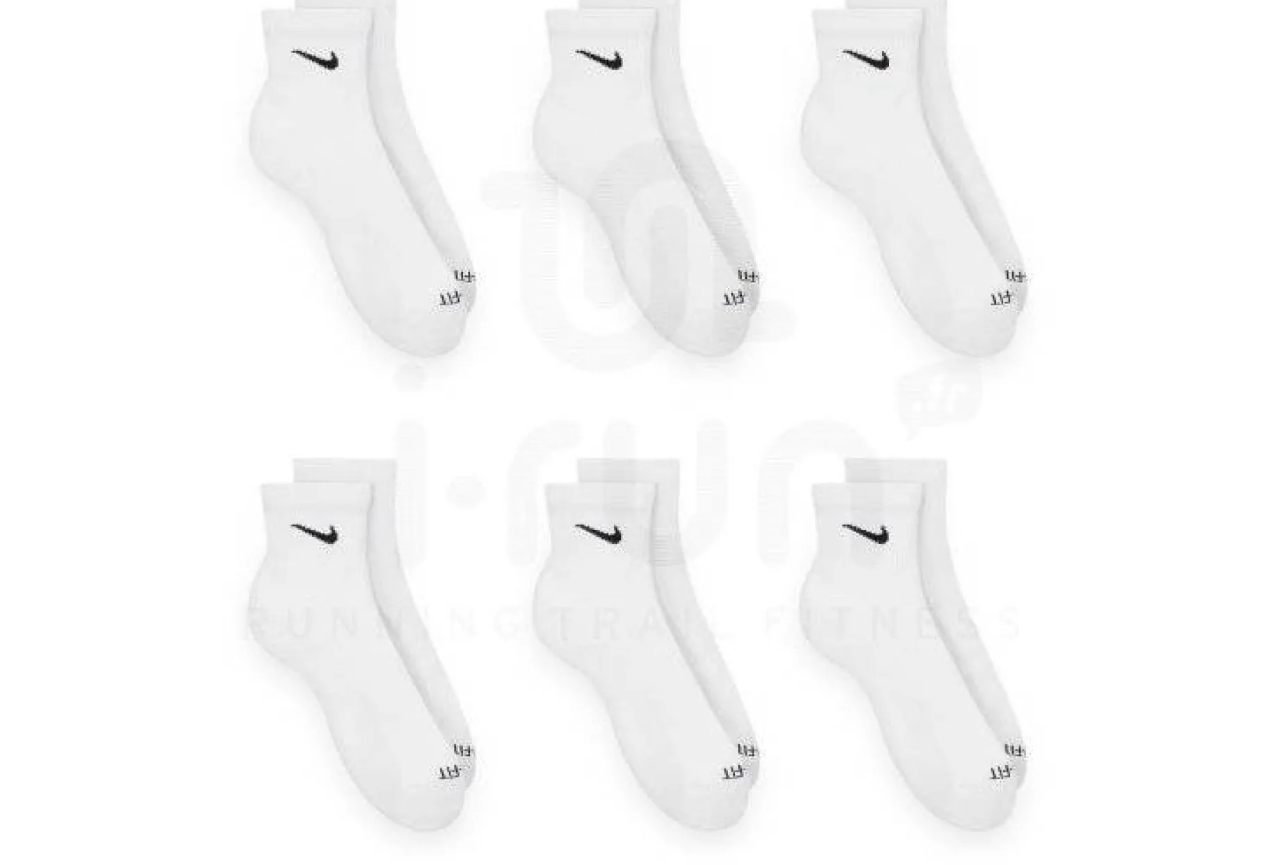 Everyday Plus - Pack de 6