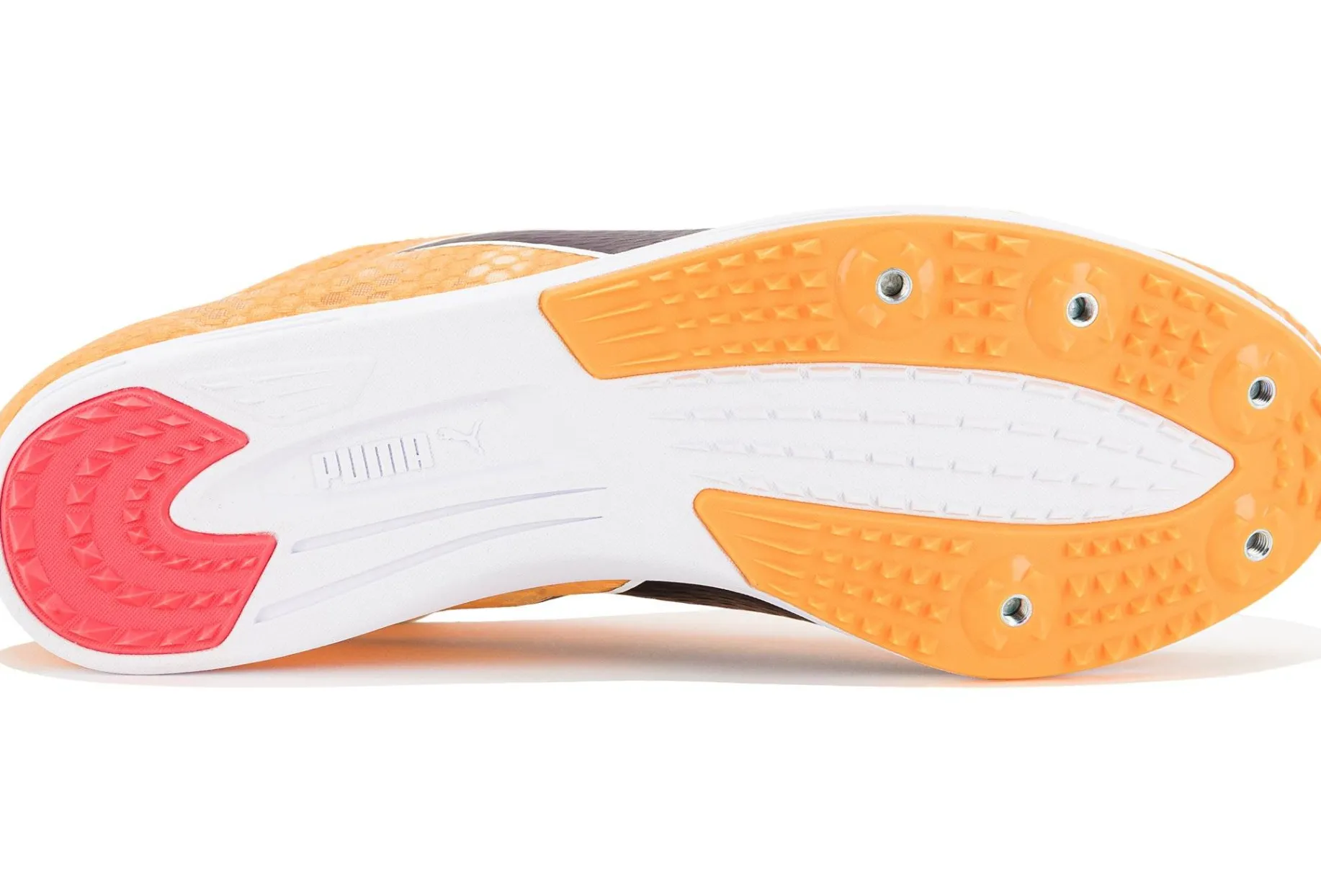 evoSPEED Distance 11 M