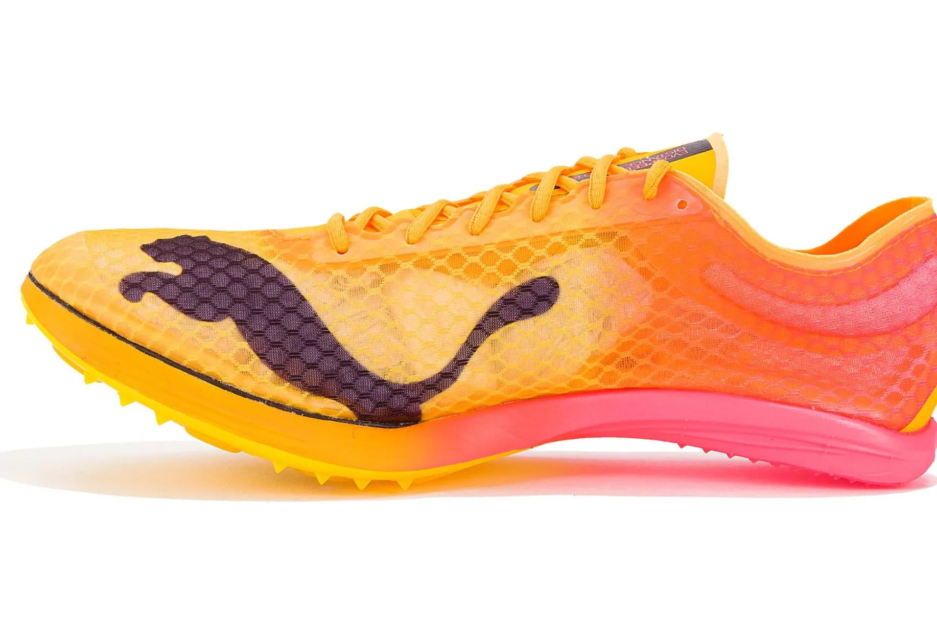 evoSPEED Distance Nitro Elite+ M