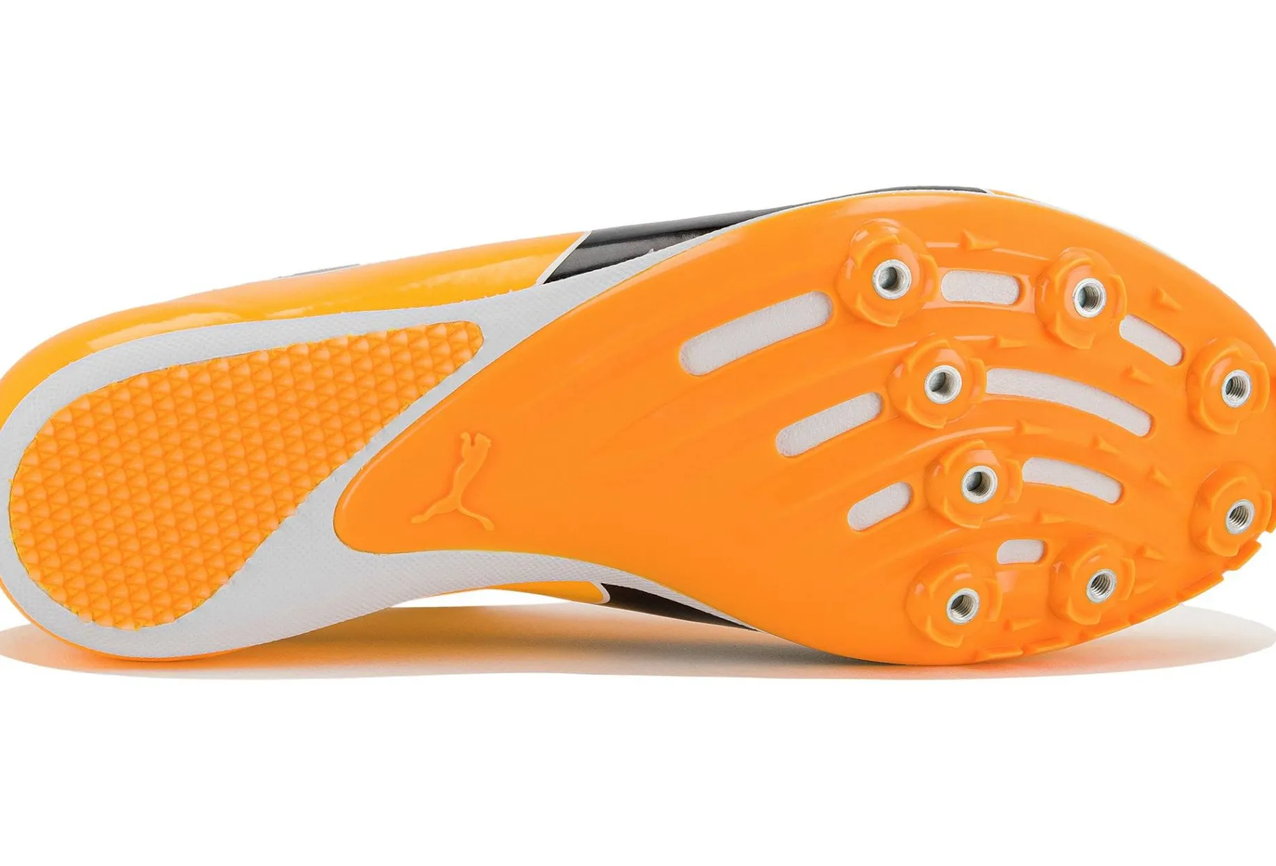evoSPEED Sprint 14.5