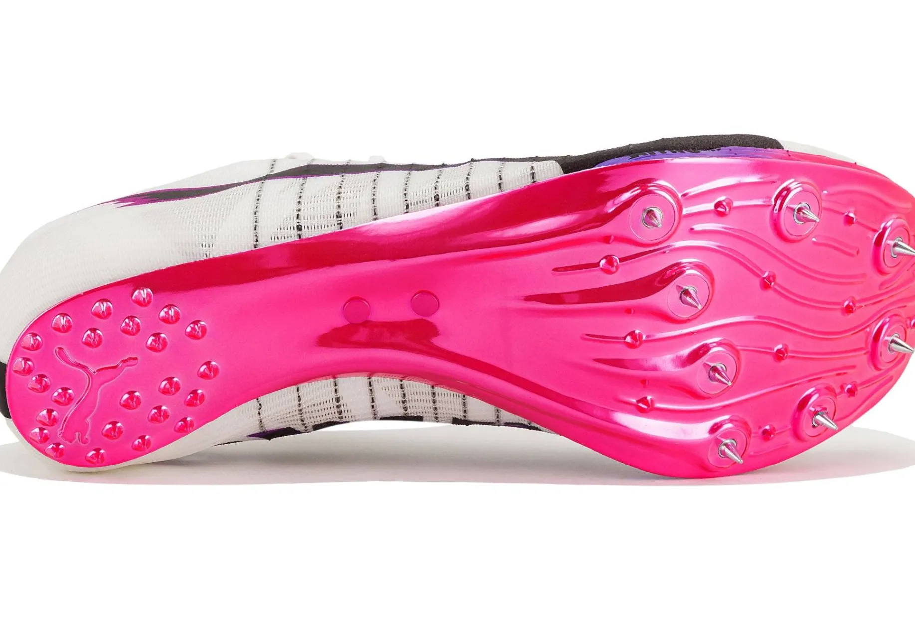 evoSPEED Sprint Nitro Elite 2 femme