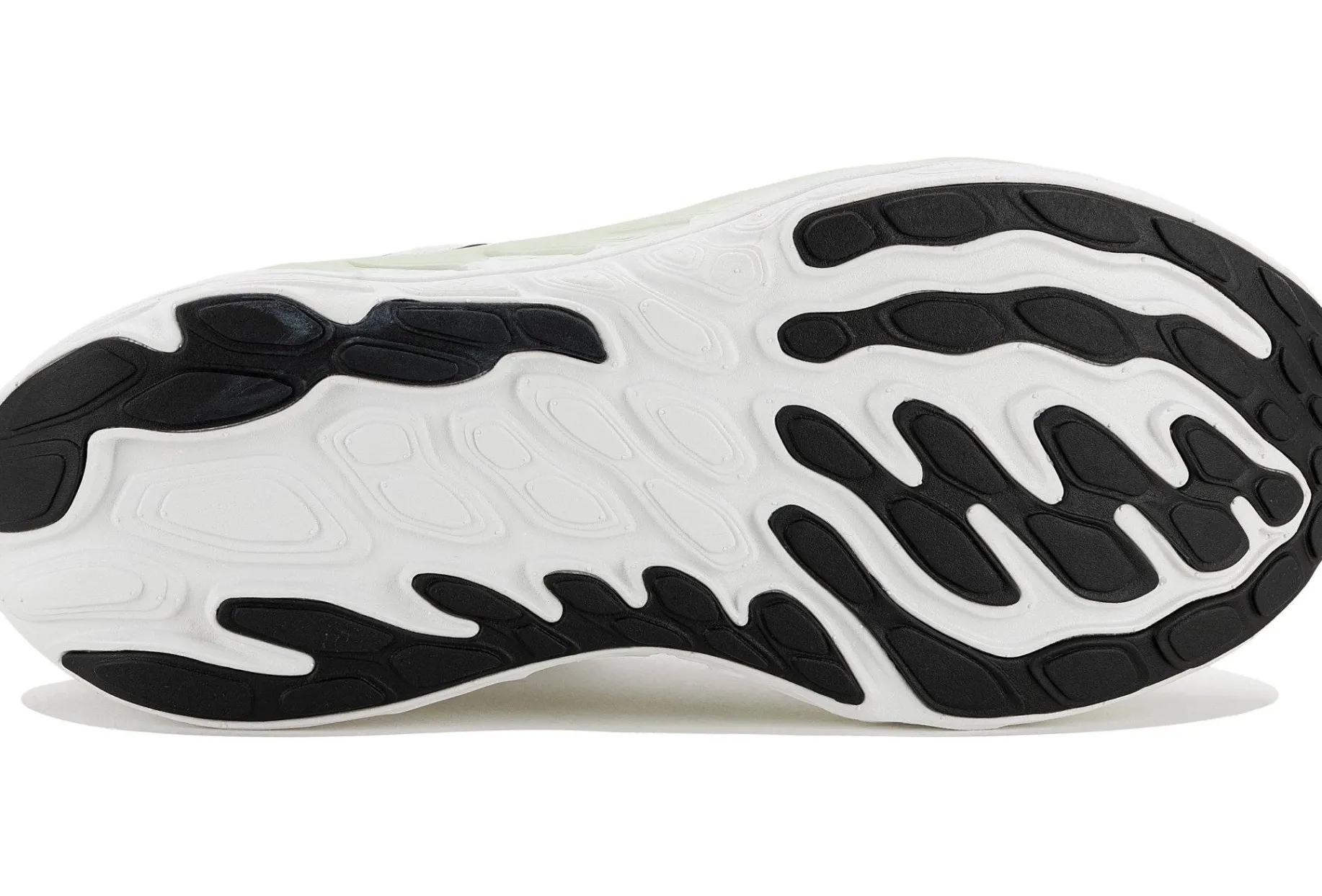 Fresh Foam X Vongo V6