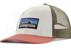 P-6 Logo LoPro Trucker