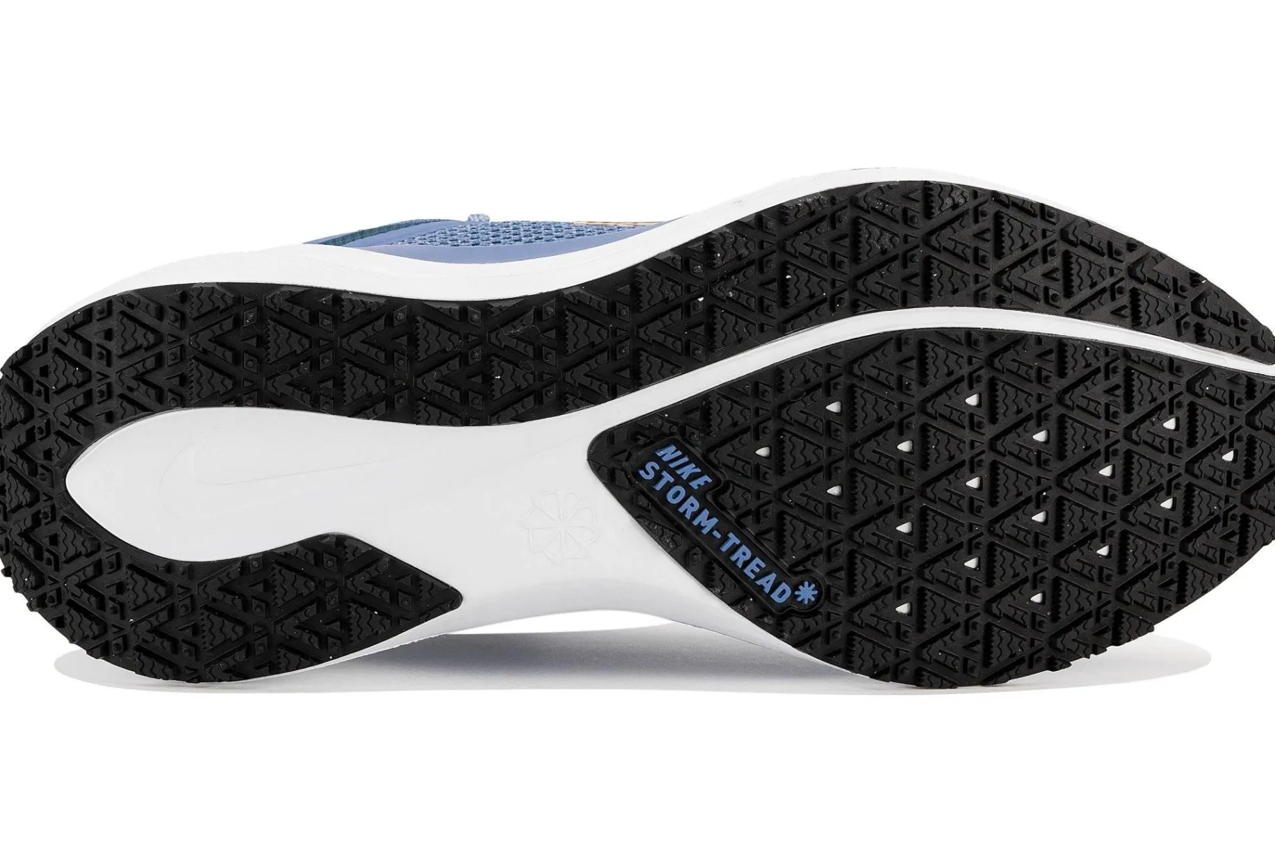 Pegasus 41 Gore-Tex femme