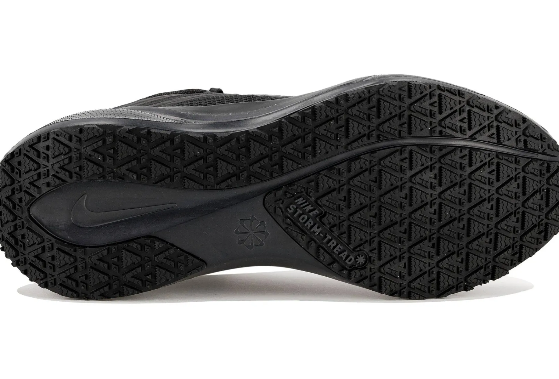 Pegasus 41 Gore-Tex femme