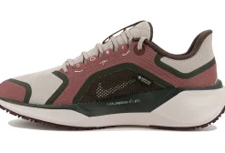 Pegasus 41 Gore-Tex femme