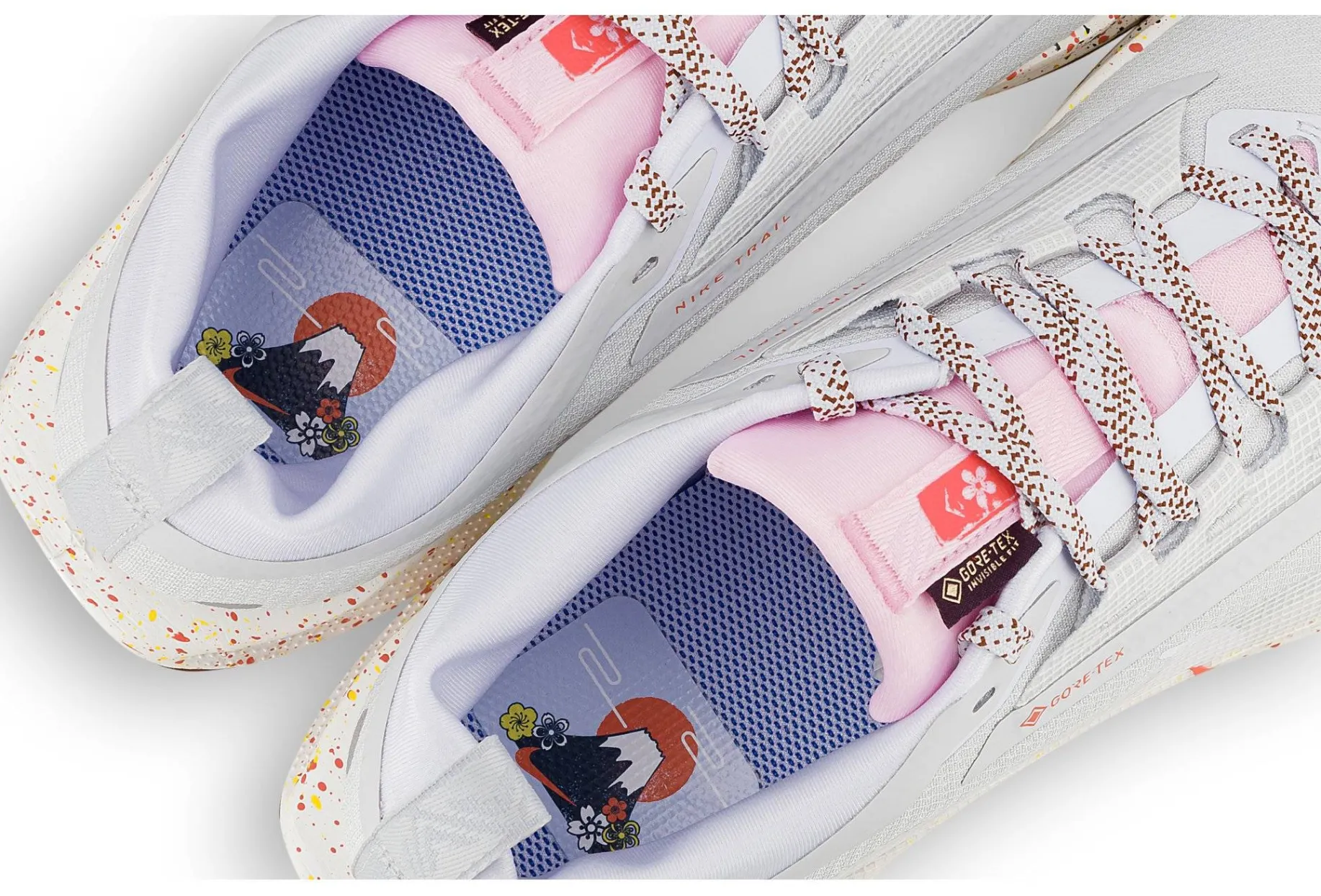 Pegasus Trail 5 Gore-Tex femme