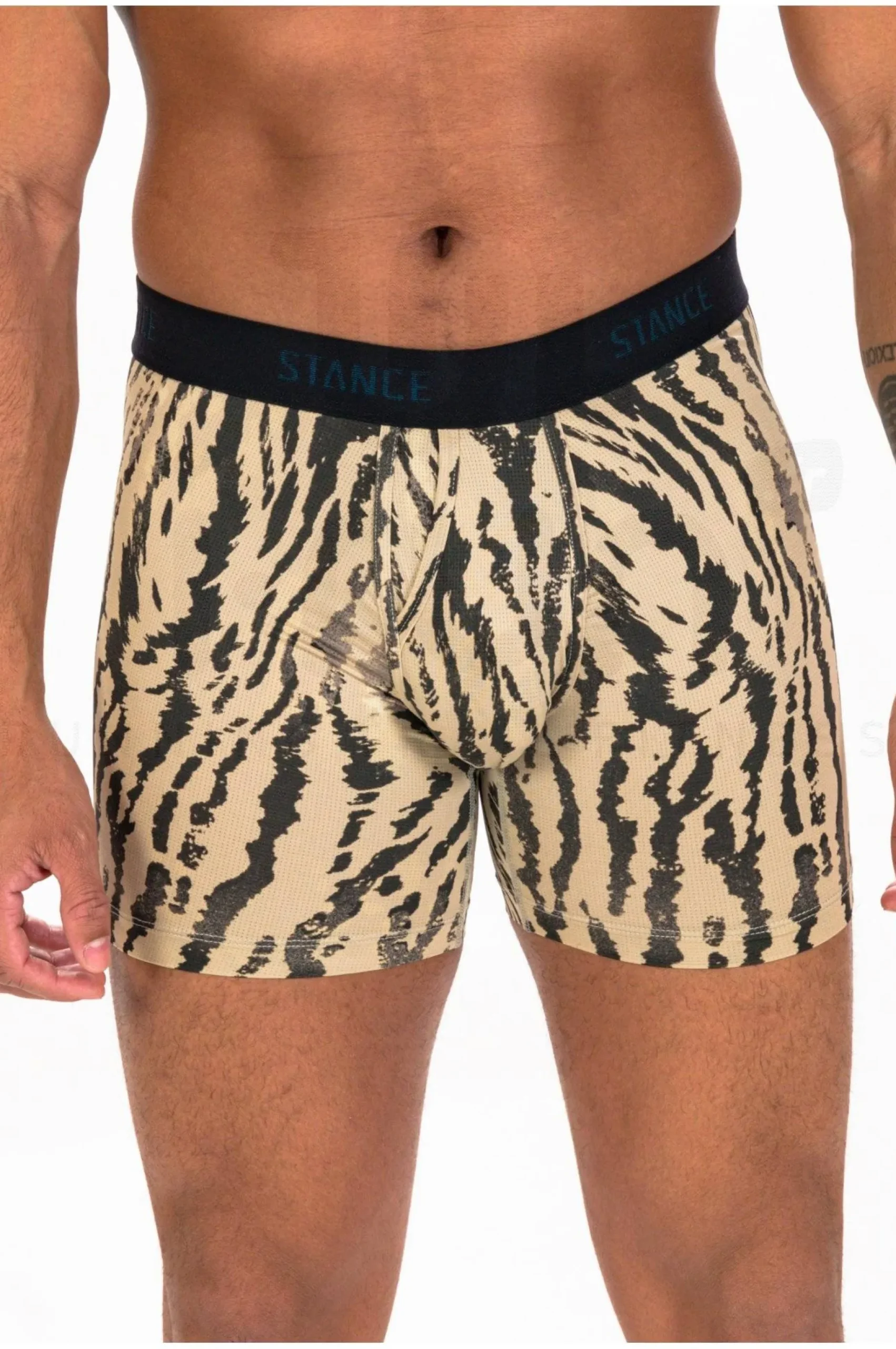 Rawr Wholester Boxer Brief M