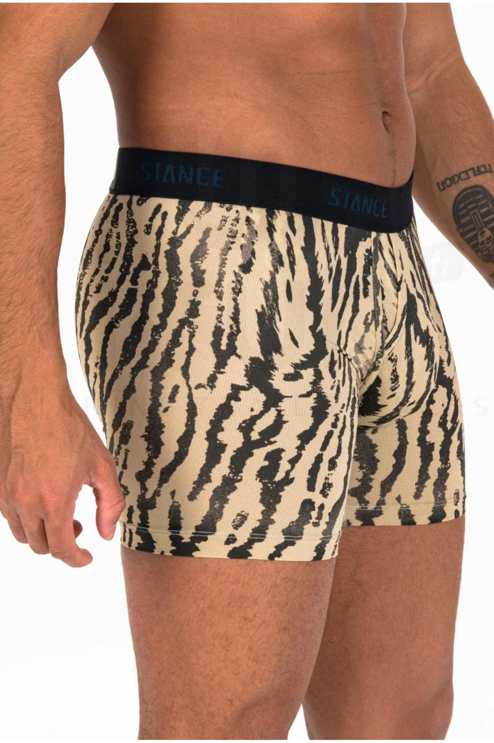 Rawr Wholester Boxer Brief M