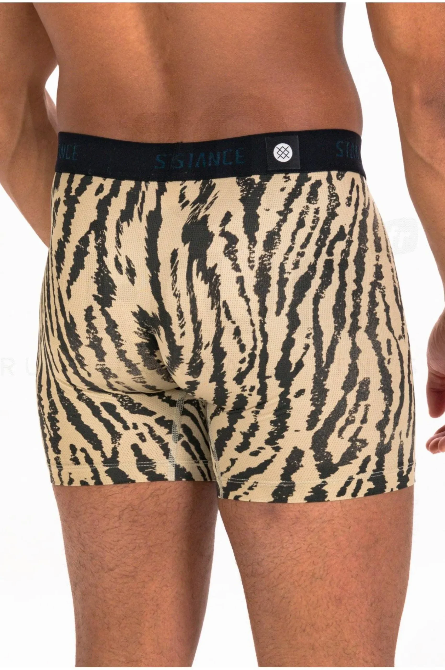 Rawr Wholester Boxer Brief M
