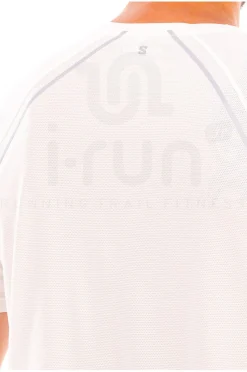 SHAKEout CORE STELLAR