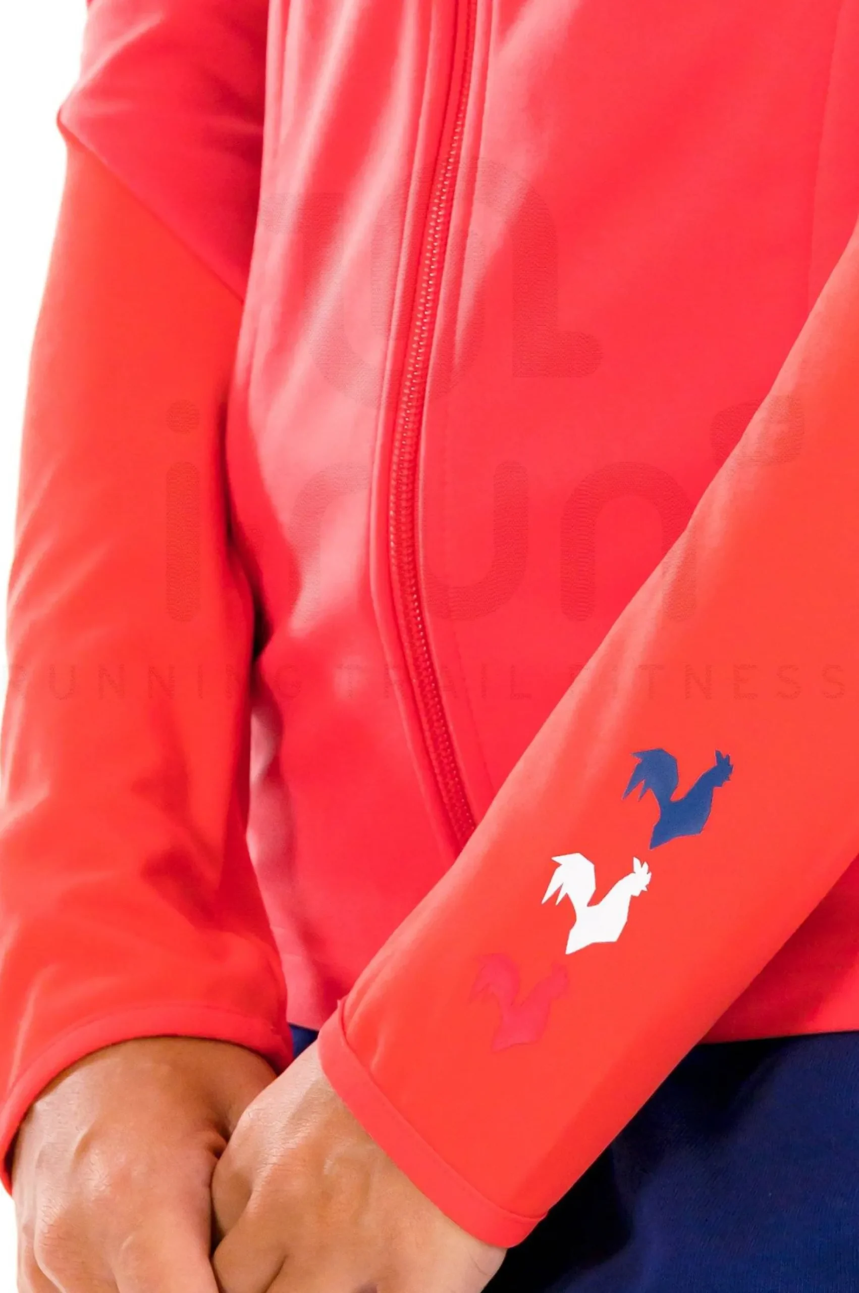 Training France femme