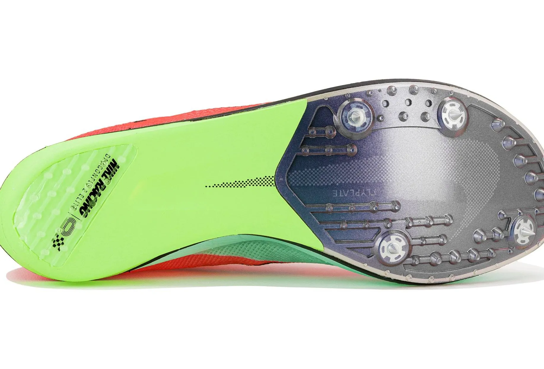 ZoomX Dragonfly 2 Elite femme